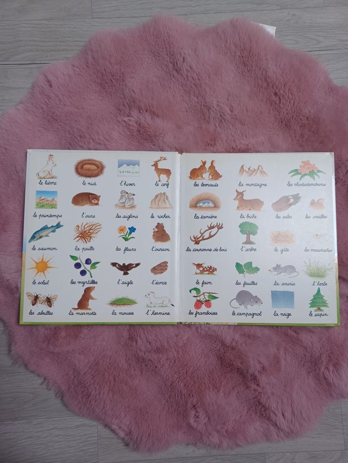 Livre d'apprentissage je lis avec les animaux de la montagne - photo numéro 2