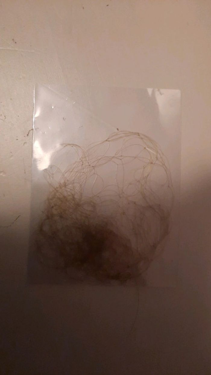 Filet de coiffure - photo numéro 2