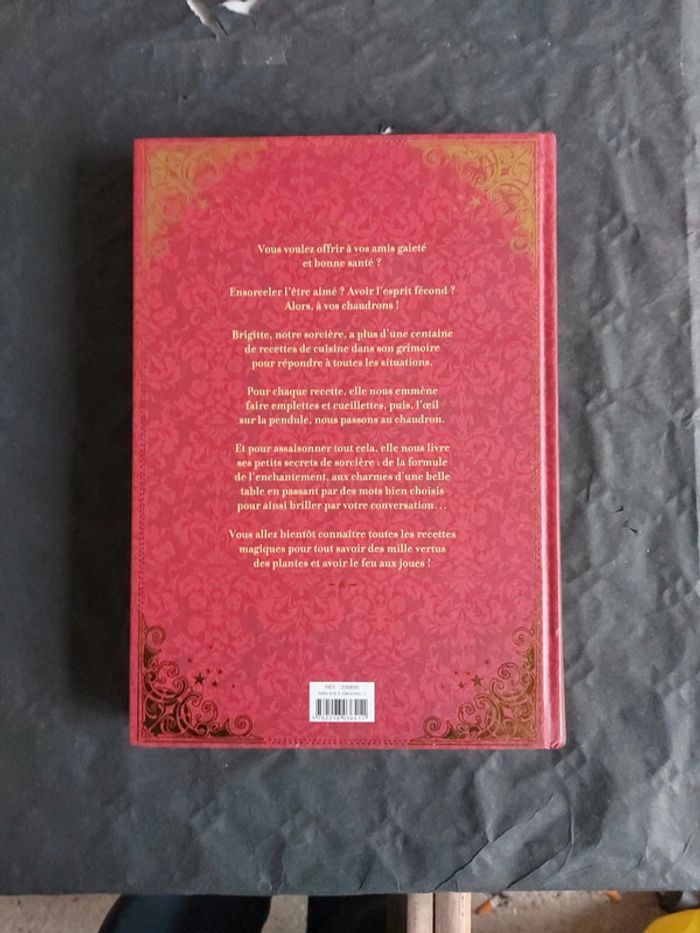 Ma cuisine de sorcière - photo numéro 2