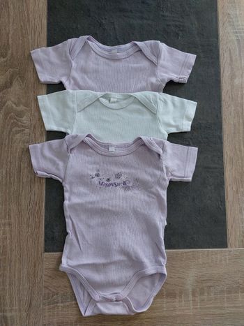 Lot de 3 bodies manches courtes 100% coton