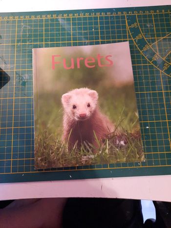 Livre sur les furets