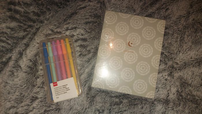 Lot 5 carnets 12 stylos
