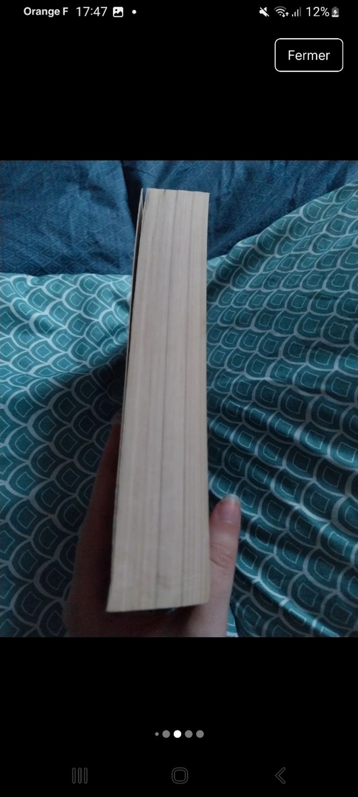 Roman Les Royaumes de Nashira tome 1 Licia Troisi - photo numéro 5