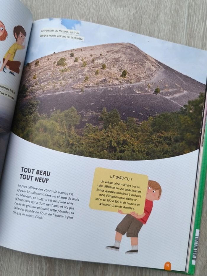 Voir avec un drone - Les volcans - photo numéro 4