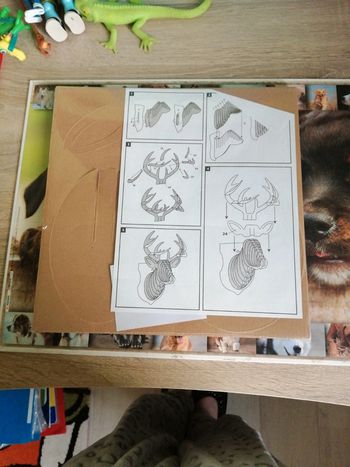 Animaux à réaliser en carton