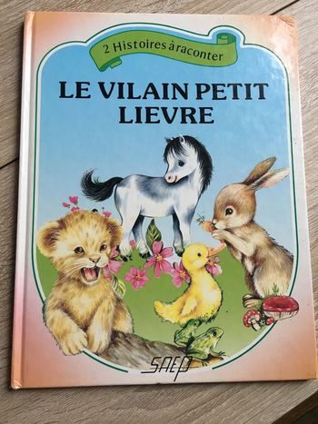 Livre Le vilain petit lièvre