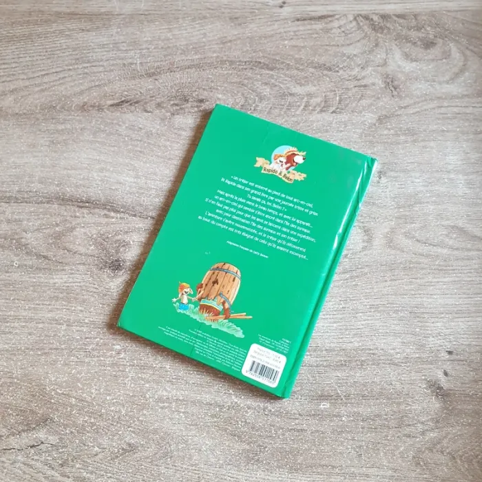 ⭐ Livre Le trésor de l'île #emyfleury_livres - photo numéro 2