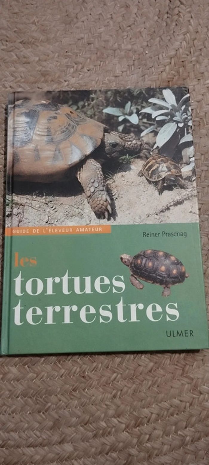Guides tortues terrestres