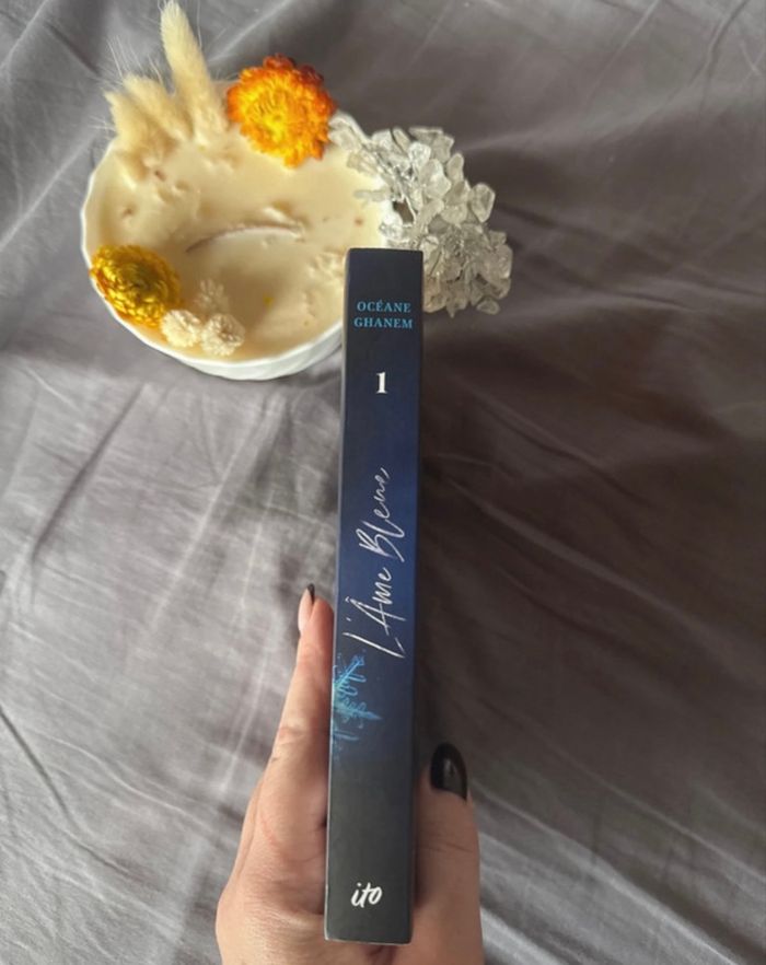 Livre L’âme bleue « Saga des âmes » Tome 1 - photo numéro 2