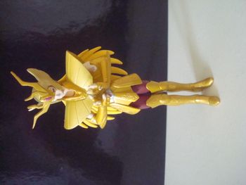 Chevalier du Zodiaque