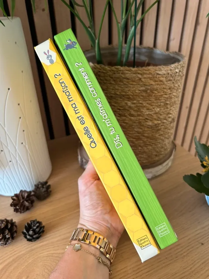 Lot de 2 livres à flops - photo numéro 3