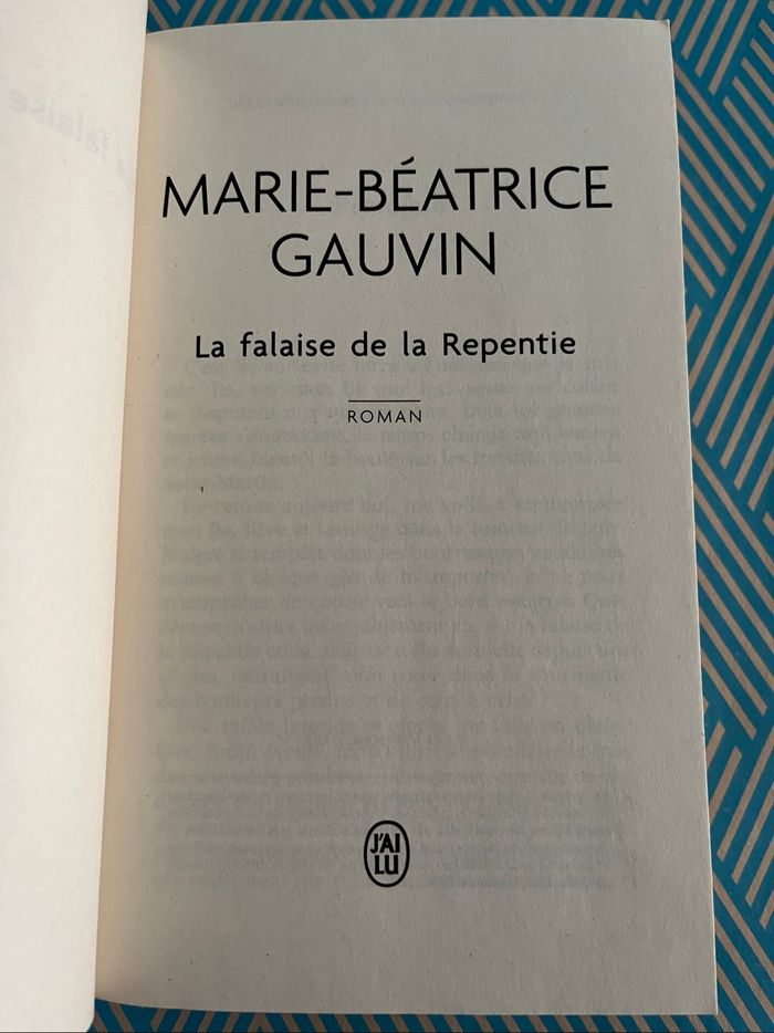 La falaise de la repentie de Marie Béatrice Gauvin - photo numéro 4