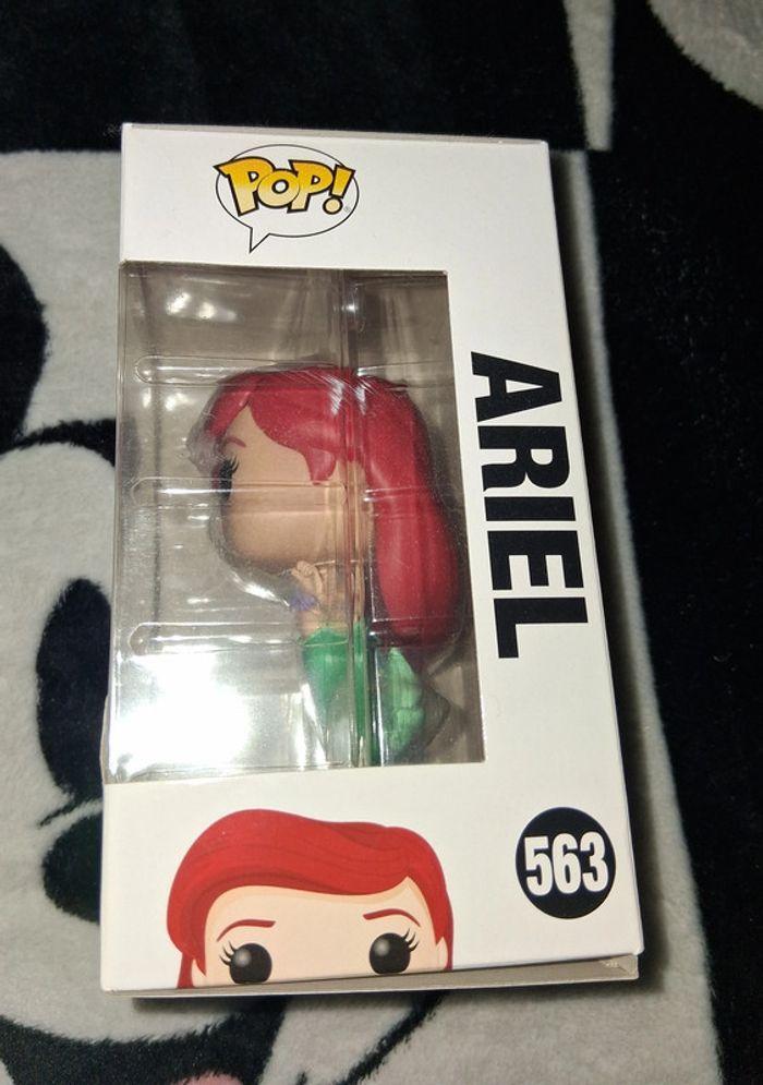 Pop Ariel - photo numéro 3