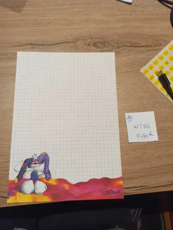 Feuille Diddl A5 55 0,70€