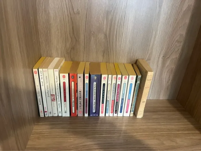 Collection de 18 livres littérature Française - photo numéro 10