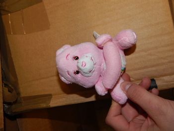 peluche bisounours