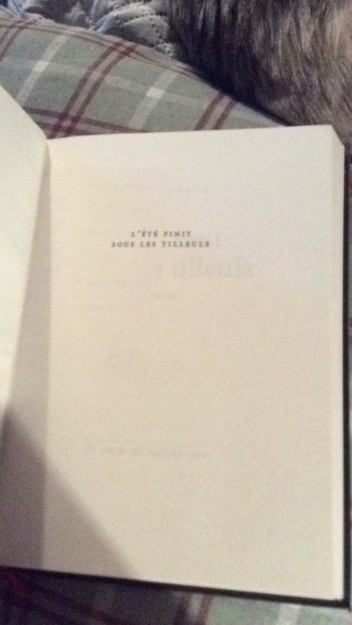 L’été Finit sous les tilleuls Mar Michel Haedens - photo numéro 4