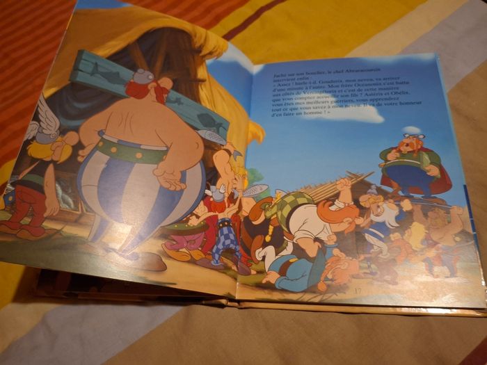 Asterix et les vikings - photo numéro 3