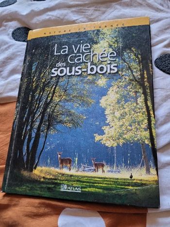 La vie cachée du sous bois
