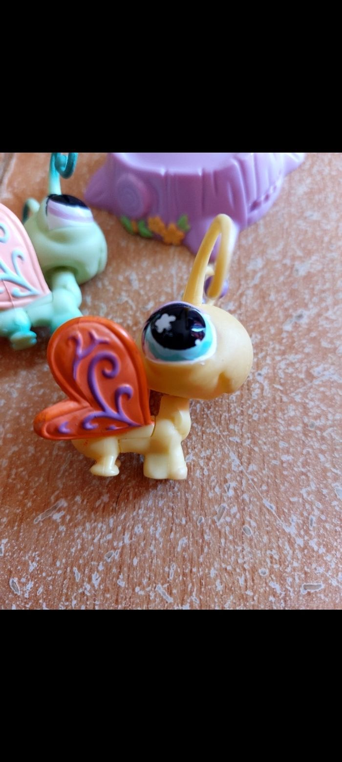 Pet shop papillon - photo numéro 4