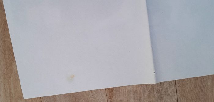 Affiche film cinéma Les voleurs de André Téchiné - photo numéro 7