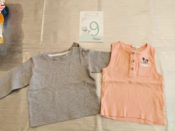 Lot de 2 tee shirts 9 mois