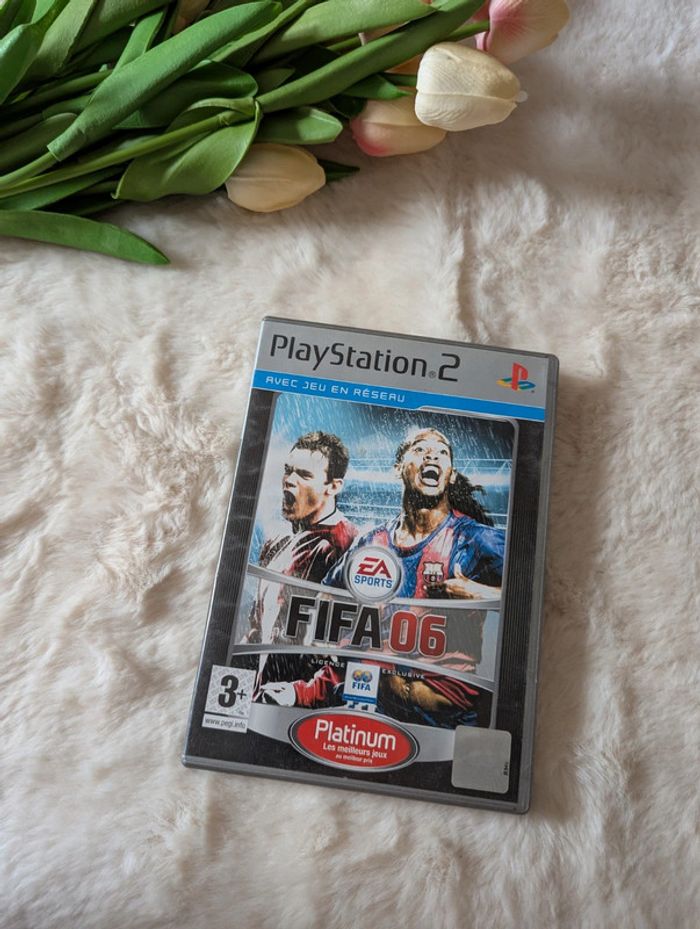 Jeu PS2 Fifa06