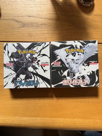 Carte Pokémon lot de 2 displays Sv11b et Sv11W scellée japonaise