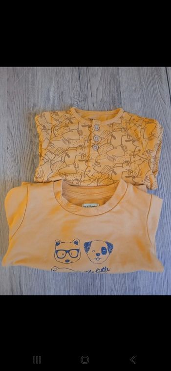 Pull + sous pull 9 mois