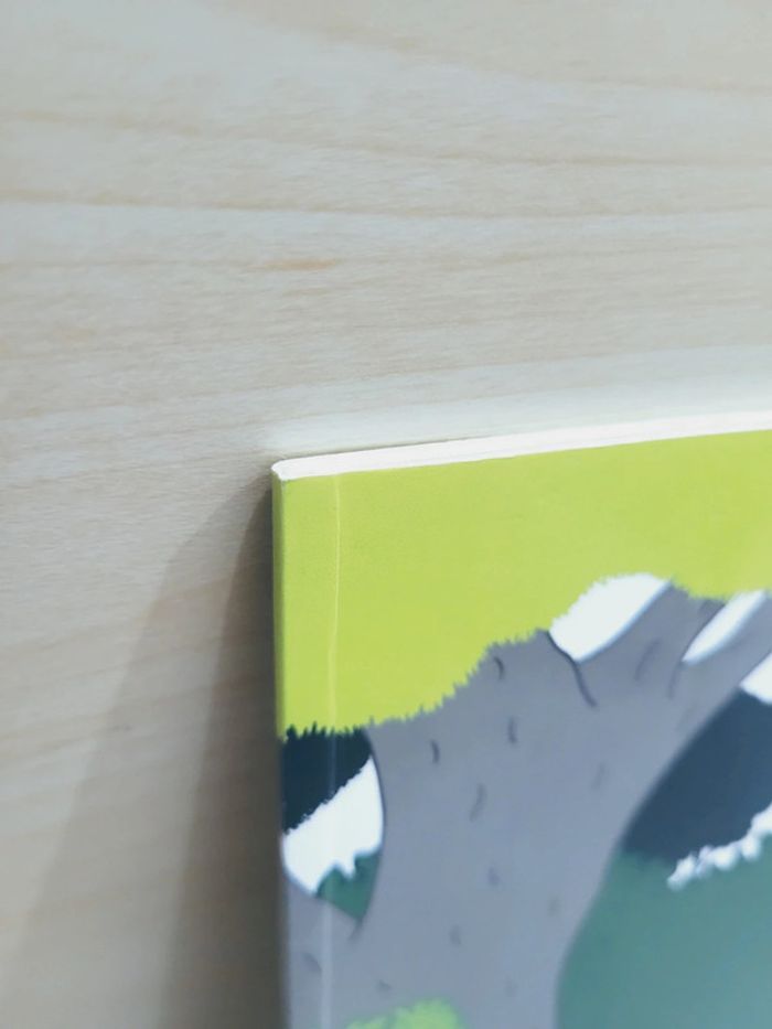 🌺 Livre (école des loisirs) : Cousa - photo numéro 9