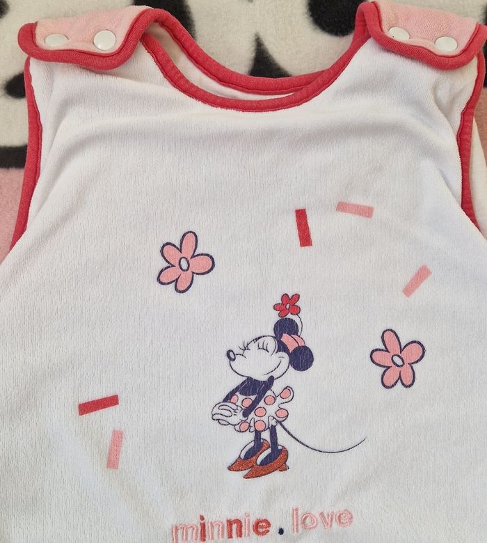 Gigoteuse Chaude Minnie - photo numéro 2