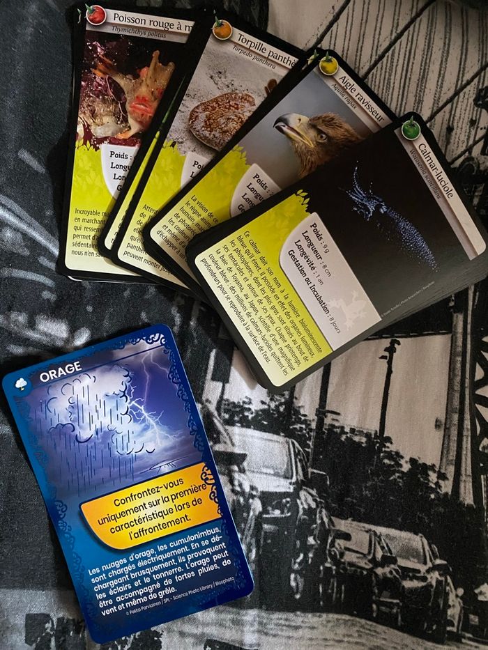 Jeu de carte - photo numéro 5