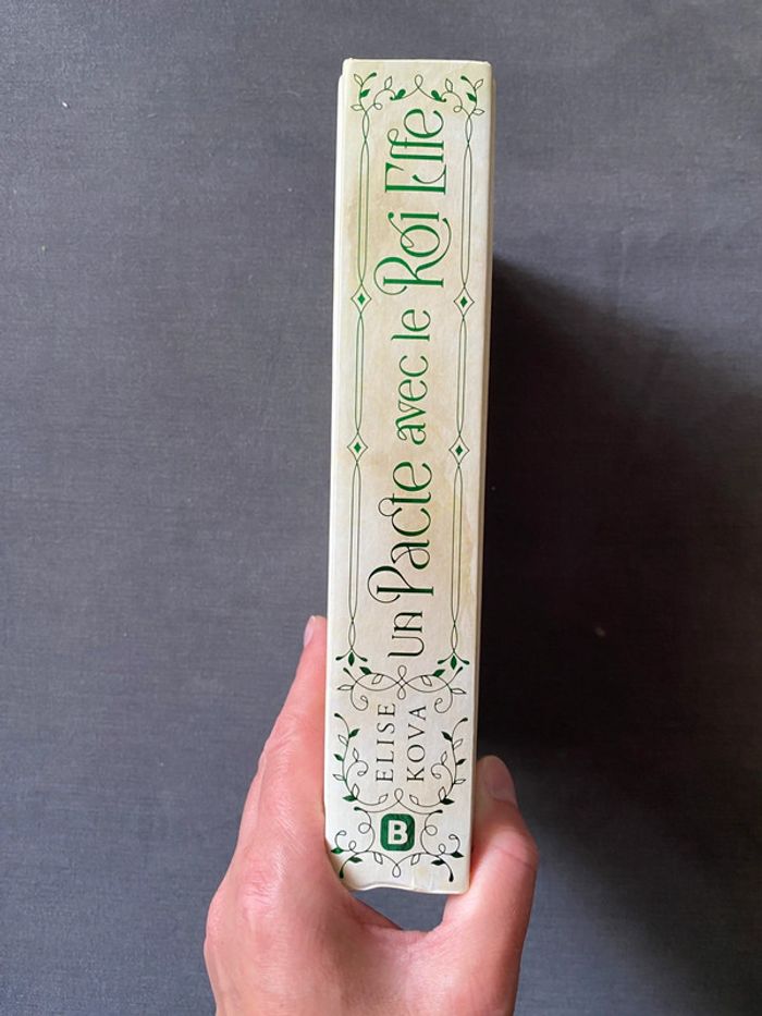 Un pacte avec le roi elfe - photo numéro 4