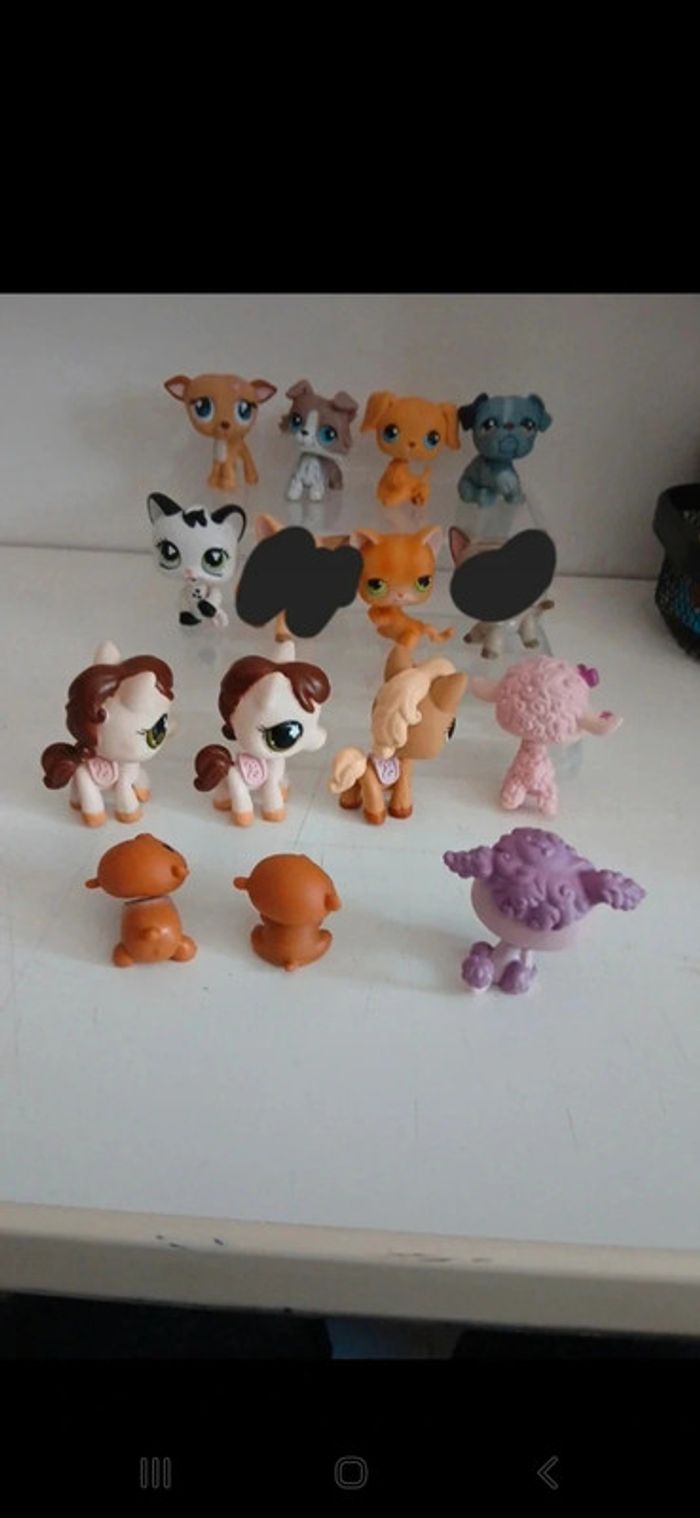 Littest petshop - photo numéro 7