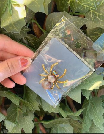 Jolie Broche araignée neuve