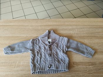 Gilet tigrou
