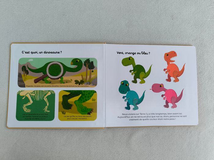 Livre Les dinosaures Milan - photo numéro 4