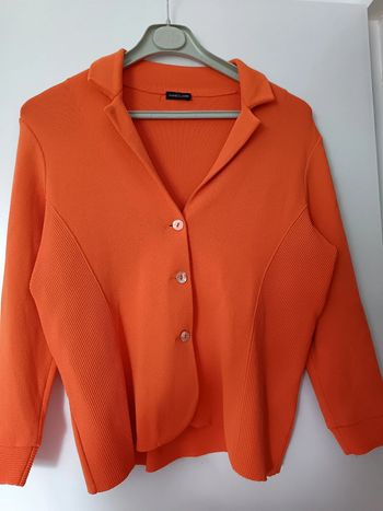 Veste Anne claire