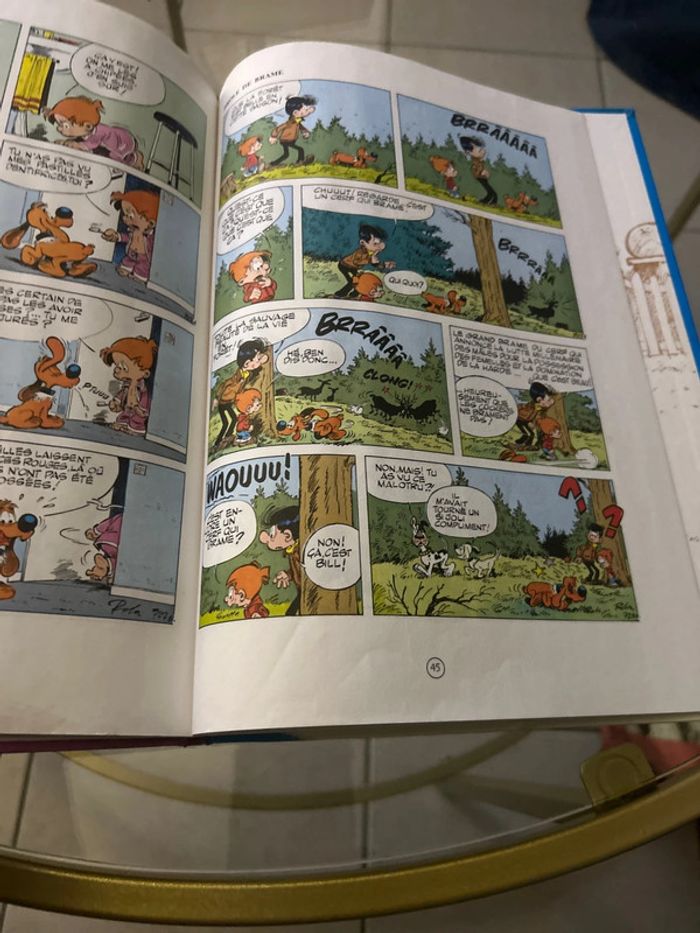 Ce coquin de cocker - photo numéro 3