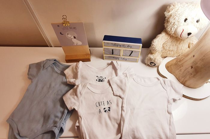 Lot de 5 bodies mixte 3 mois