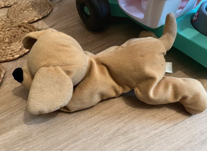 Clinique vétérinaire - photo numéro 4