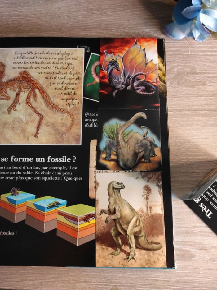 Incroyables dinosaures – L'incroyable encyclopédie – Larousse - photo numéro 8