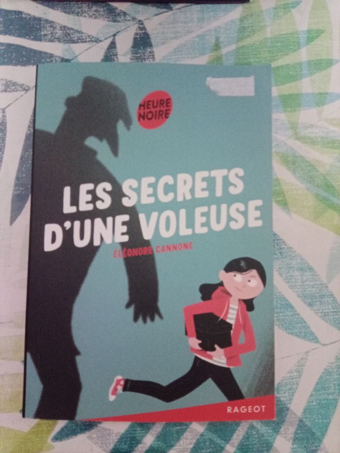 Secret d'une voleuse