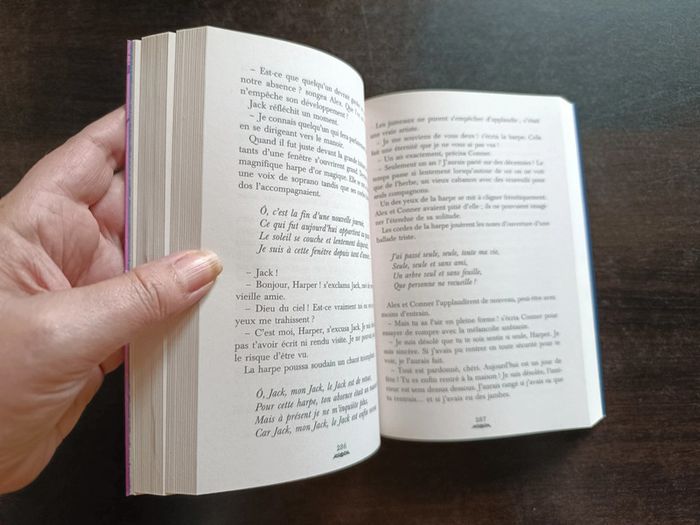 Livre LE PAYS DES CONTES: LE RETOUR DE L'ENCHANTERESSE - photo numéro 8