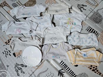 Lot de 10 bodies manches courtes 3 mois