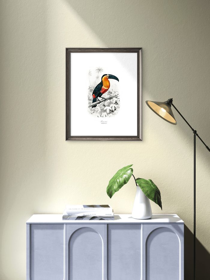 Affiche vintage Toucan Toco - photo numéro 3