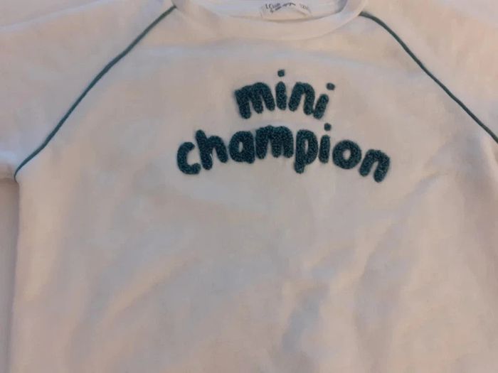 Pull mini champion - photo numéro 6