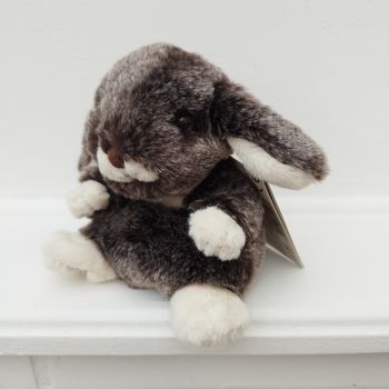 Bébé lapin Gustavus