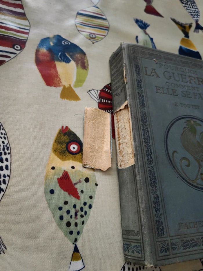 pourquoi la guerre. Comment elle se fait. - photo numéro 2