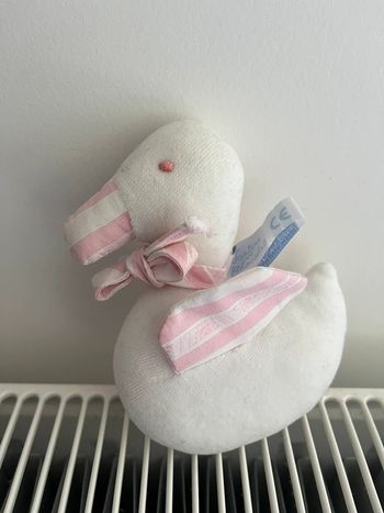 Canard oie cygne tartine et chocolat